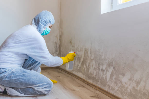 Hvac And Air Duct Mold Remediation inspection of HVAC system in Kintnersville