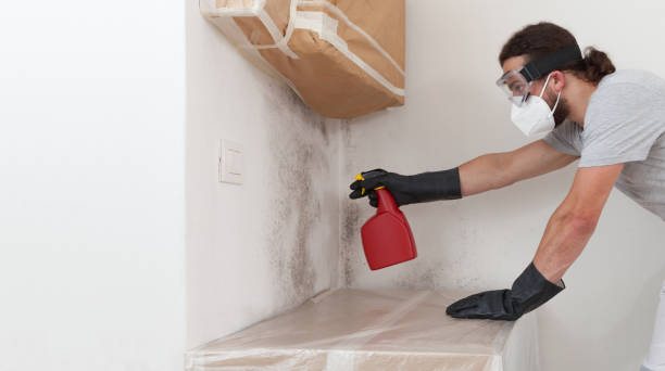 Attic Mold Remediation treatment on roof deck in Kintnersville